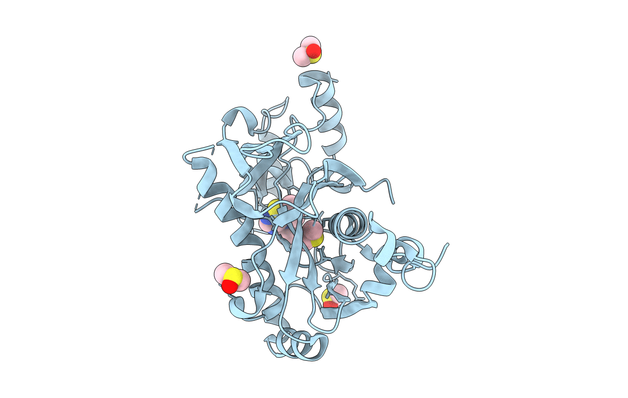 5R5E image