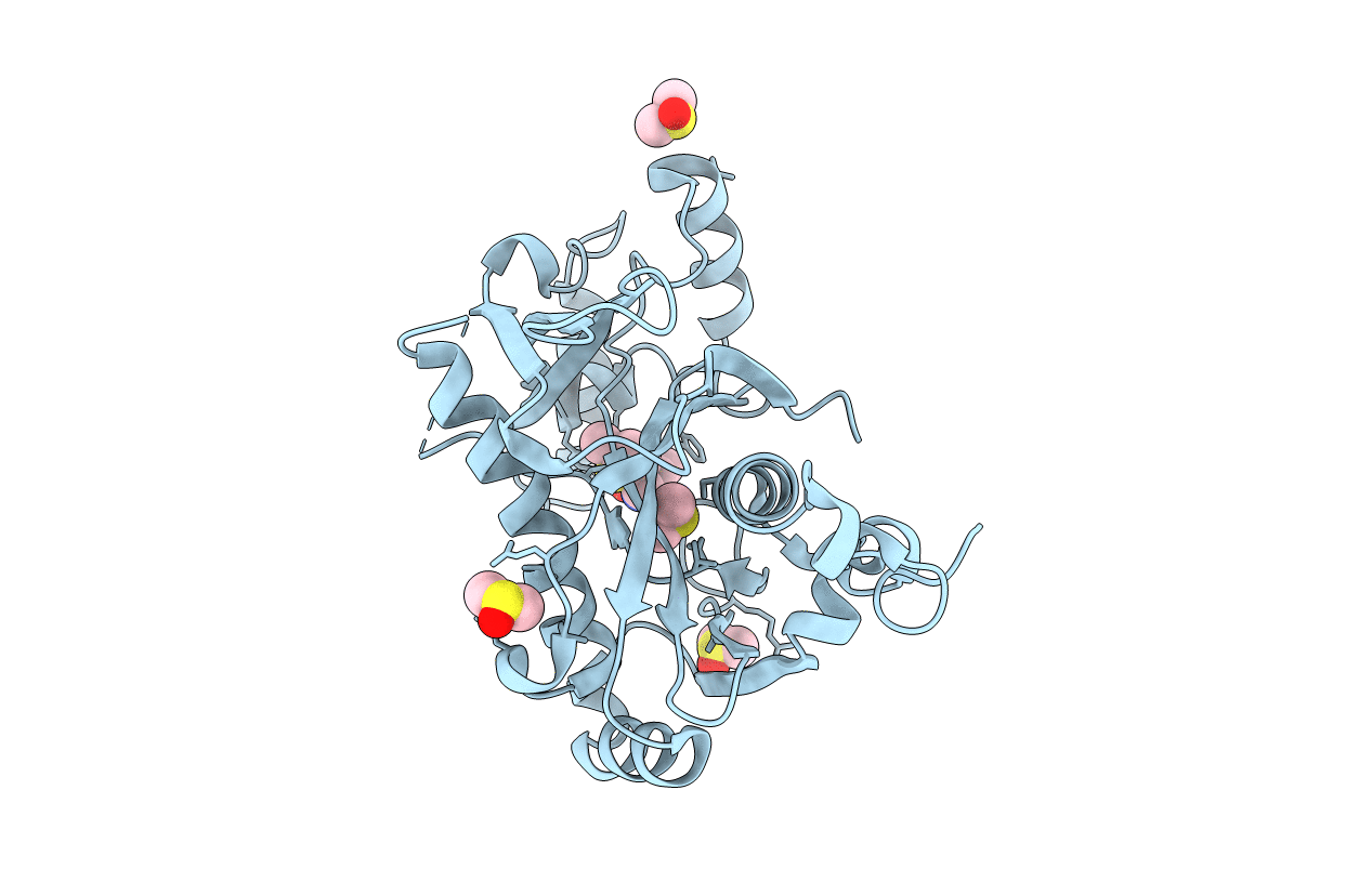 5R5J image