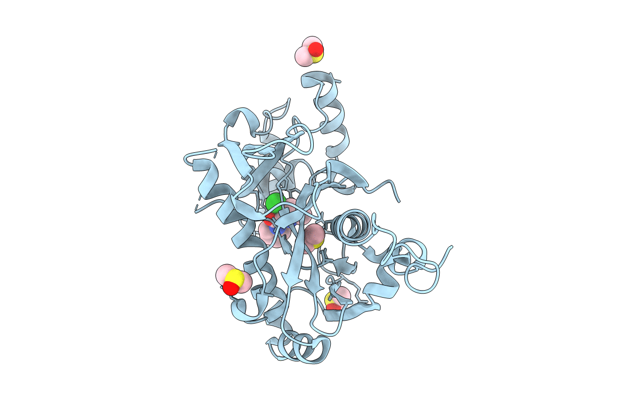 5R5N image