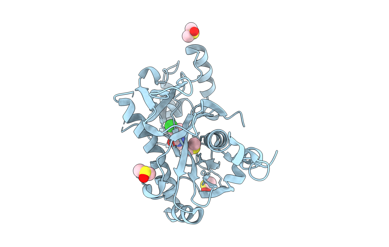 5R5Q image