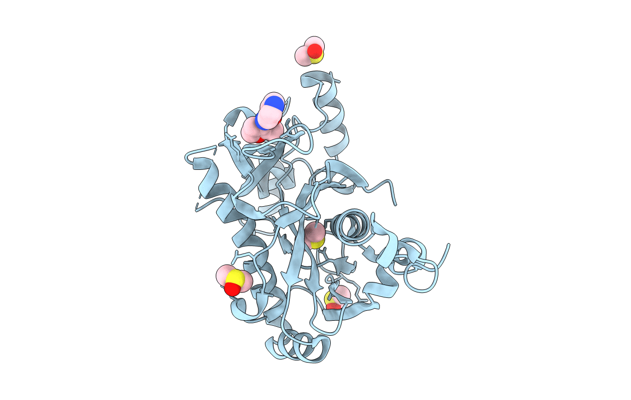 5R5S image