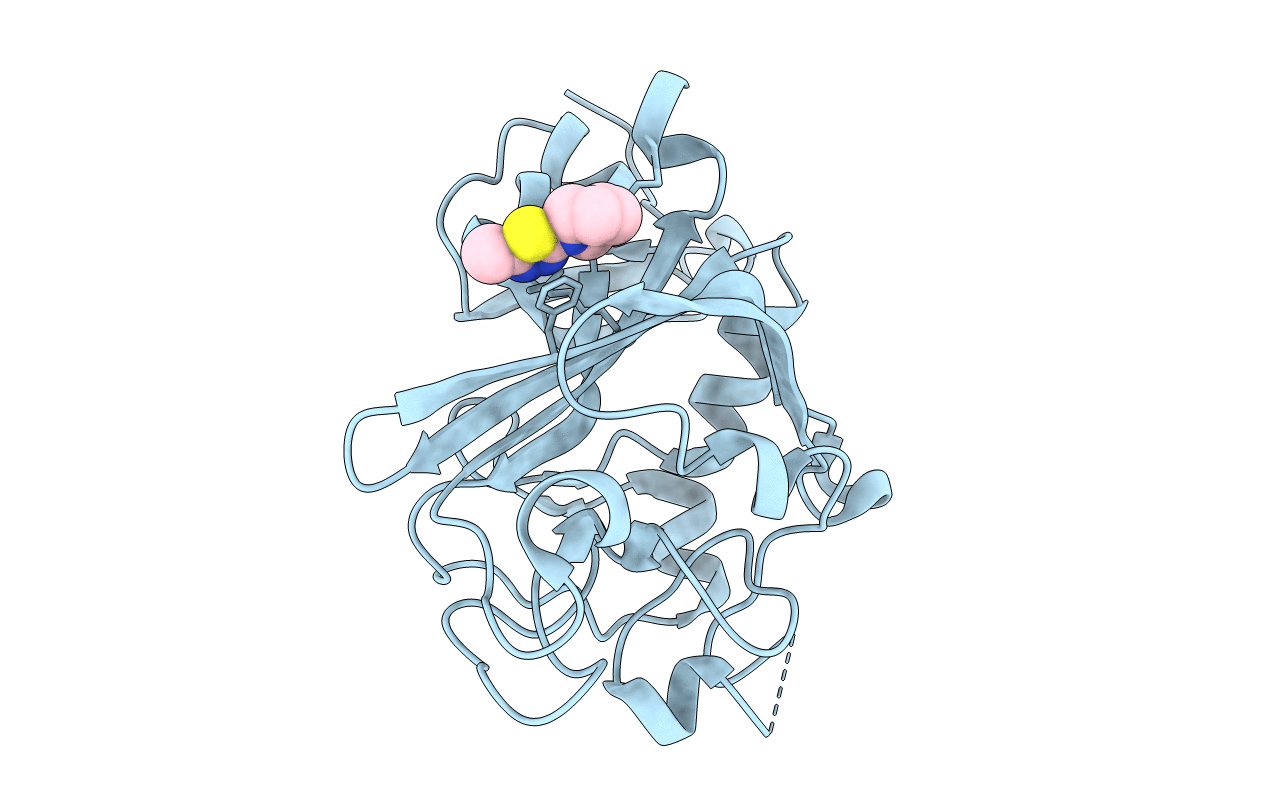 5R5T image