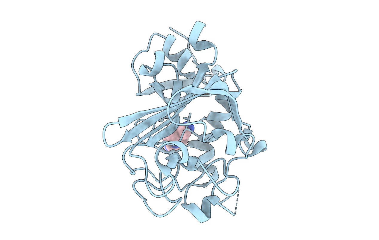 5R5X image