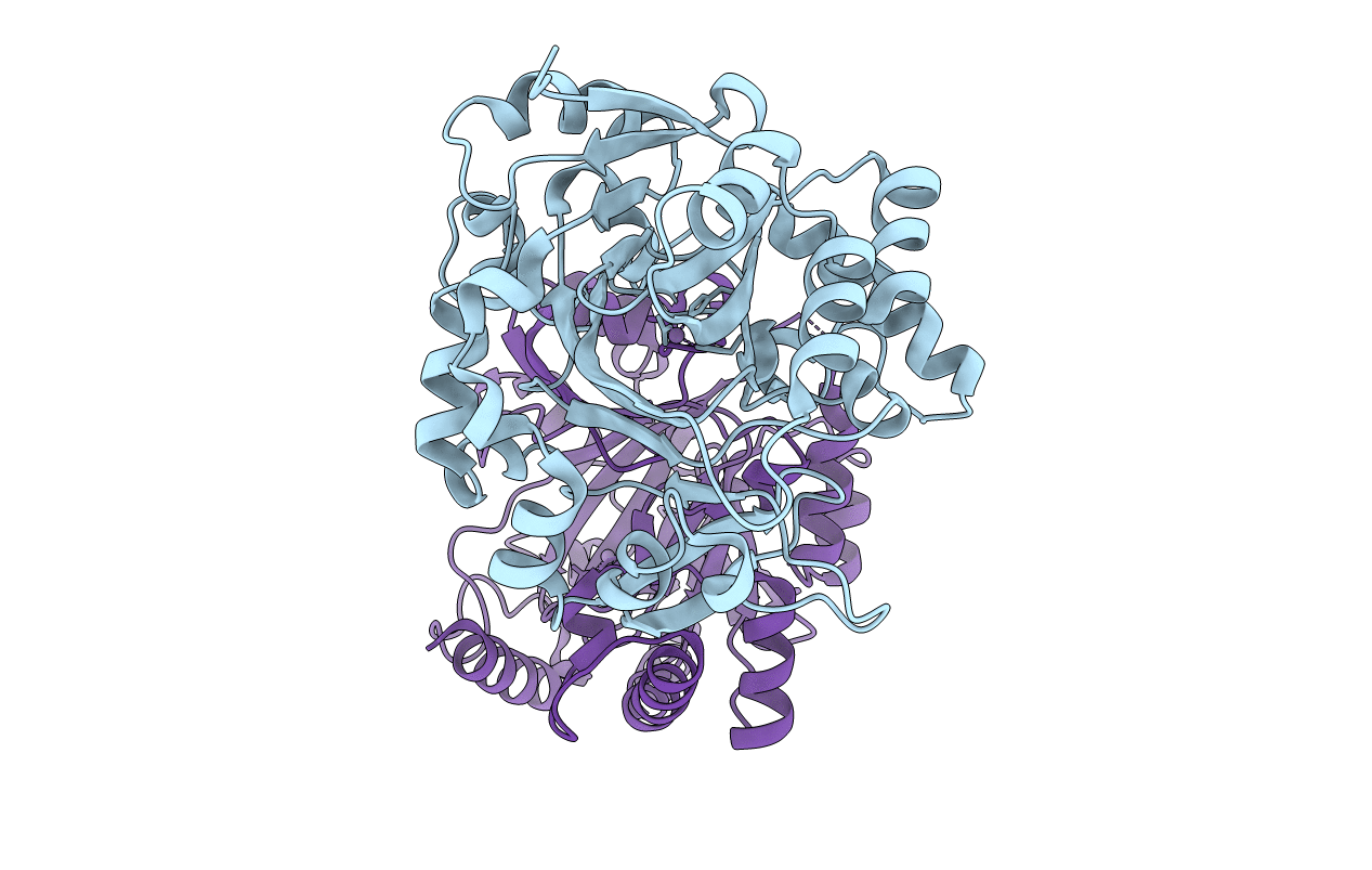 5R7X image
