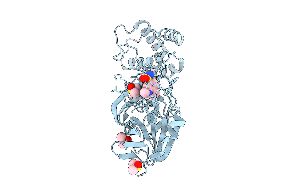 5R81 image