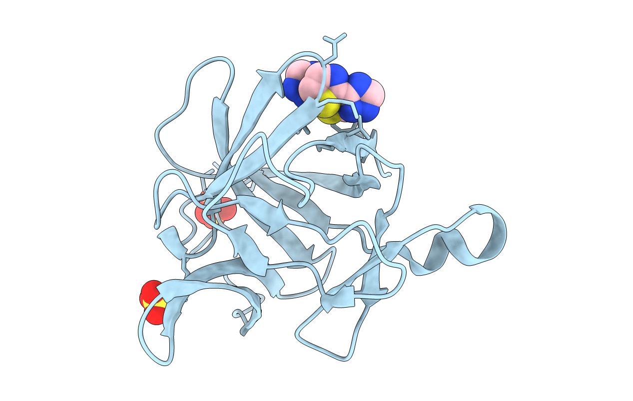 5R8B image