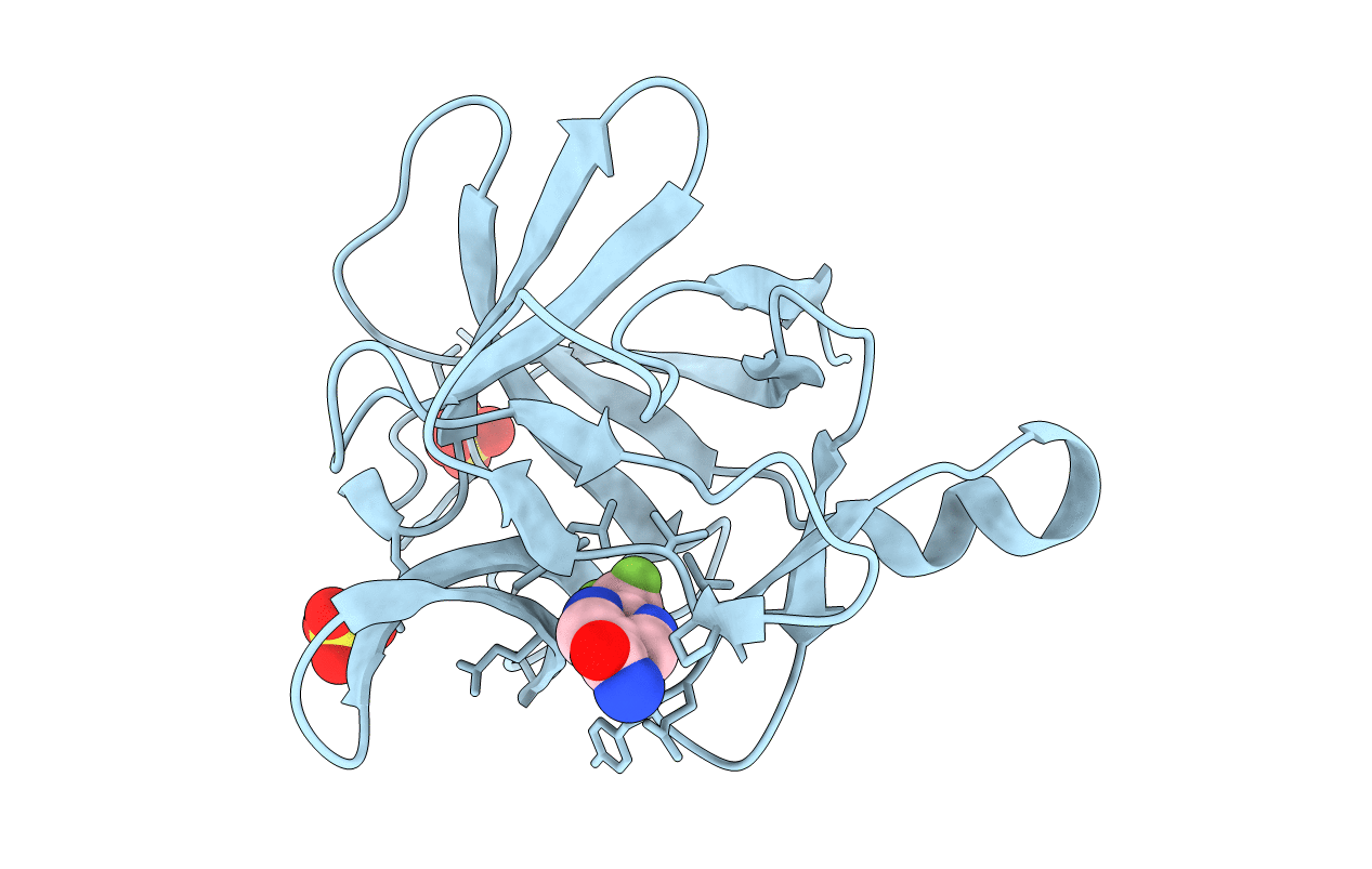 5R8D image