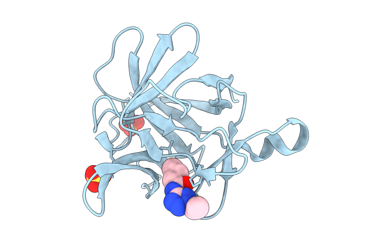 5R8E image