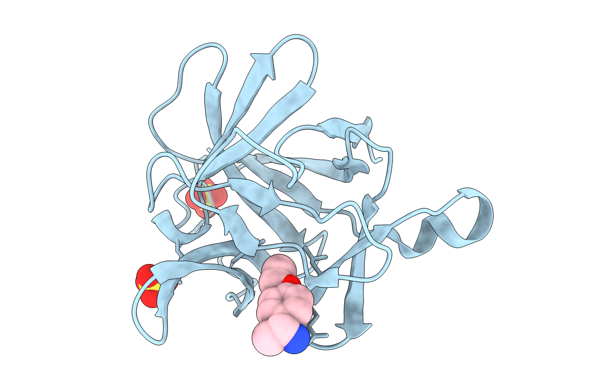 5R8I image