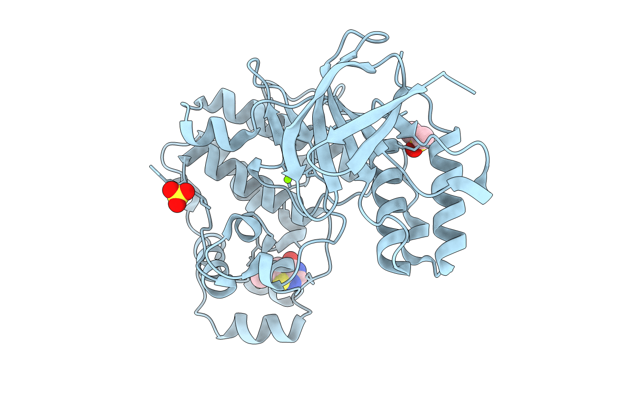 5R8W image