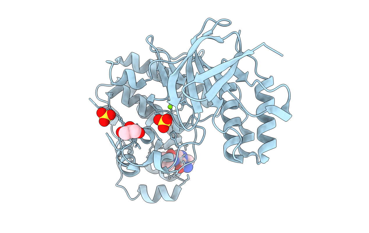 5R9A image