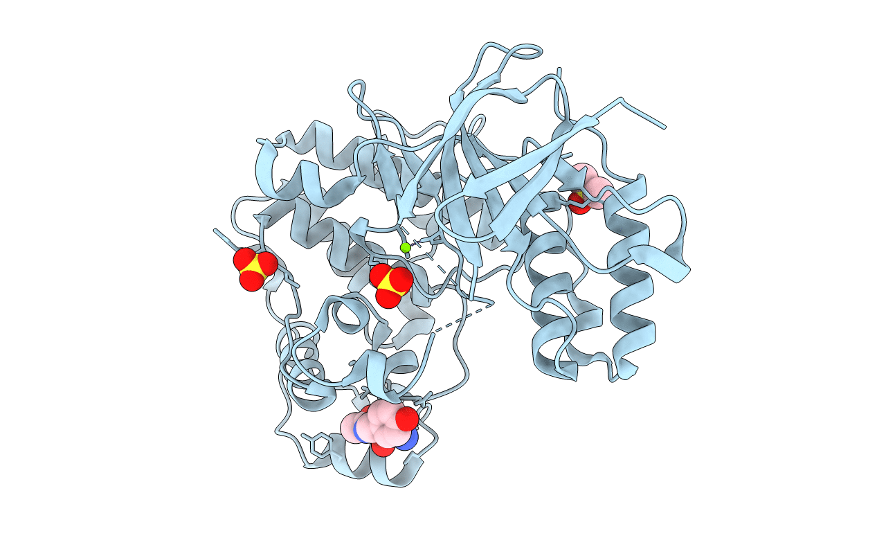 5R9B image