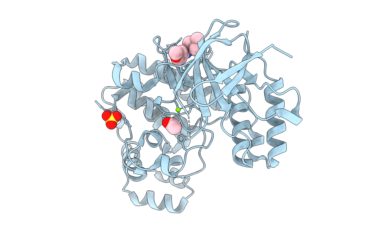 5R9C image