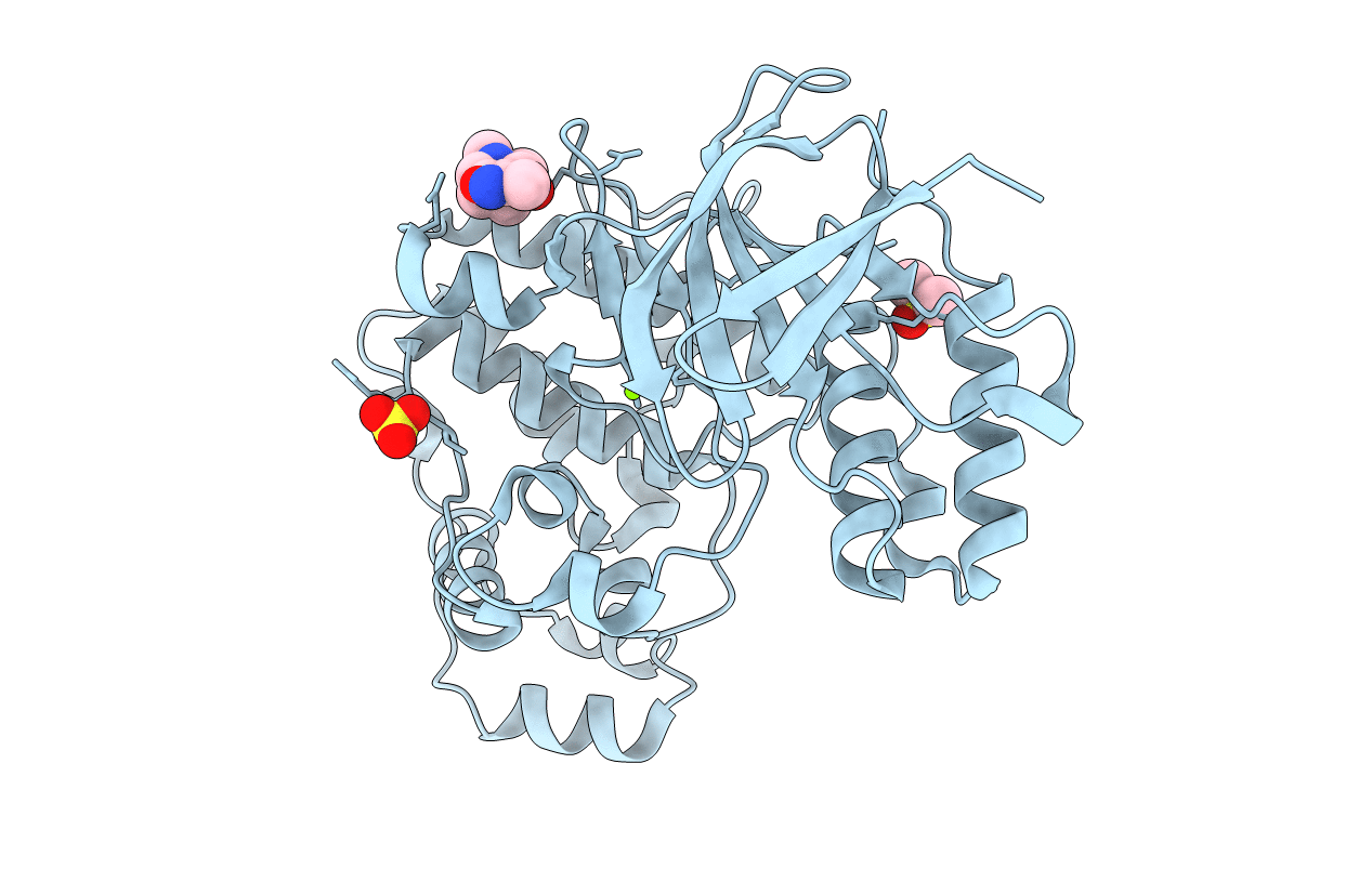 5R9G image