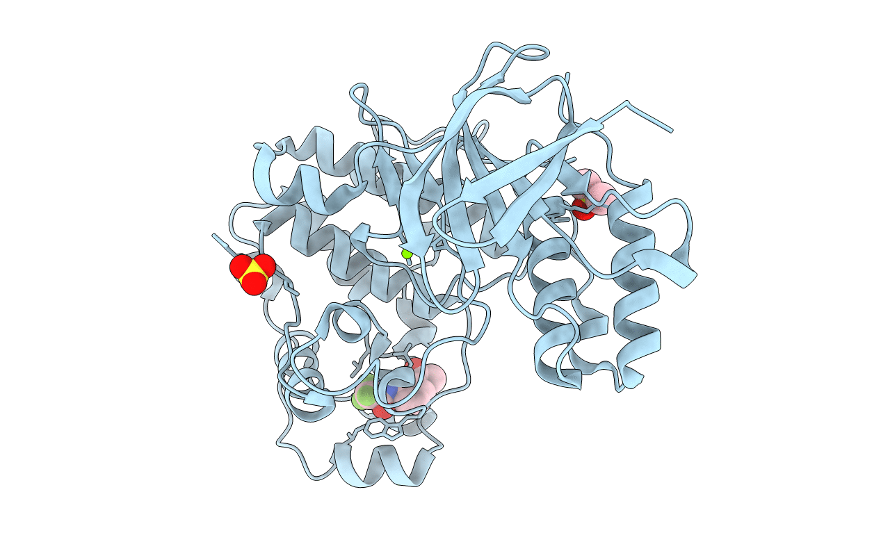 5R9V image