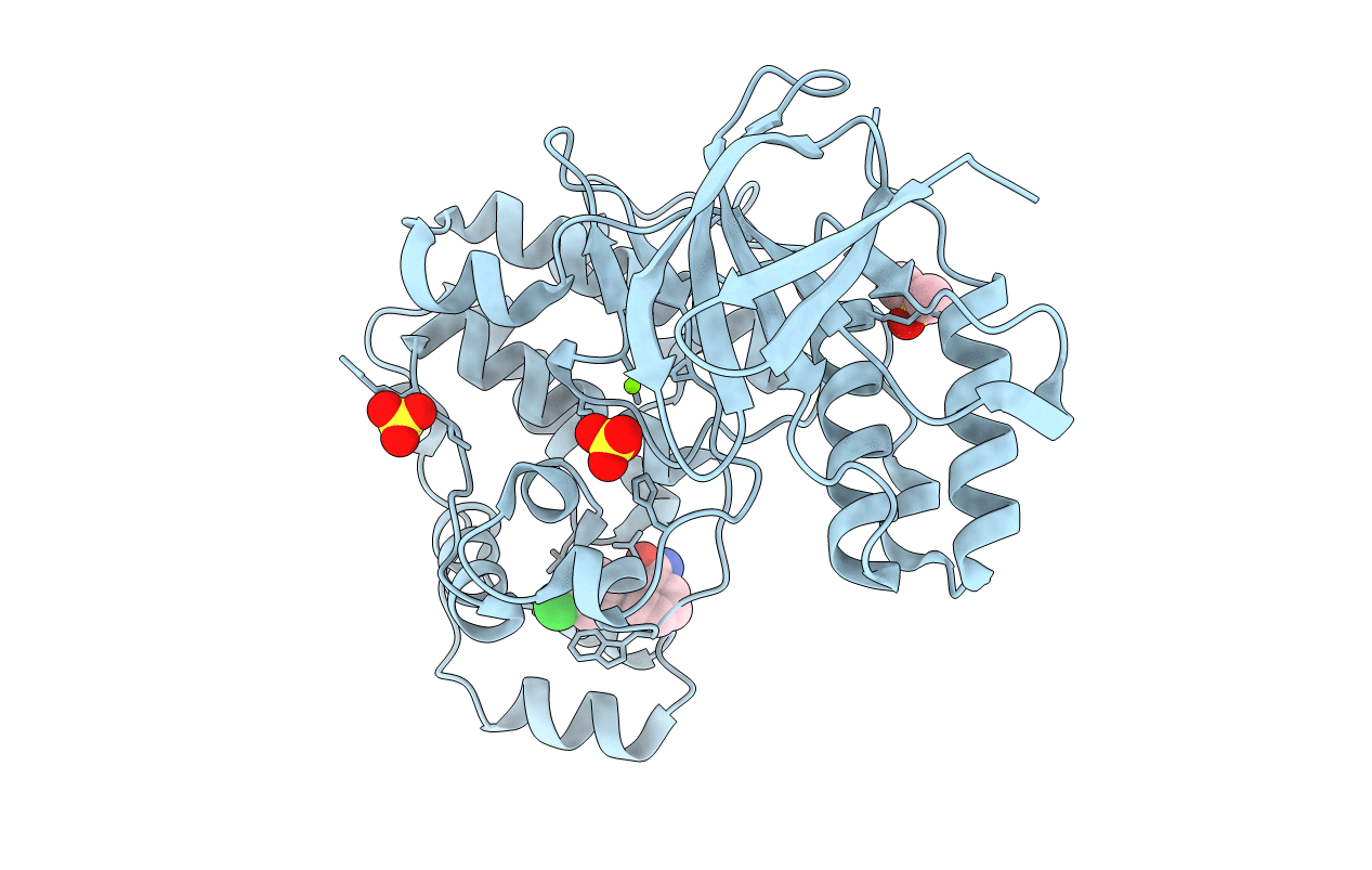 5R9Z image