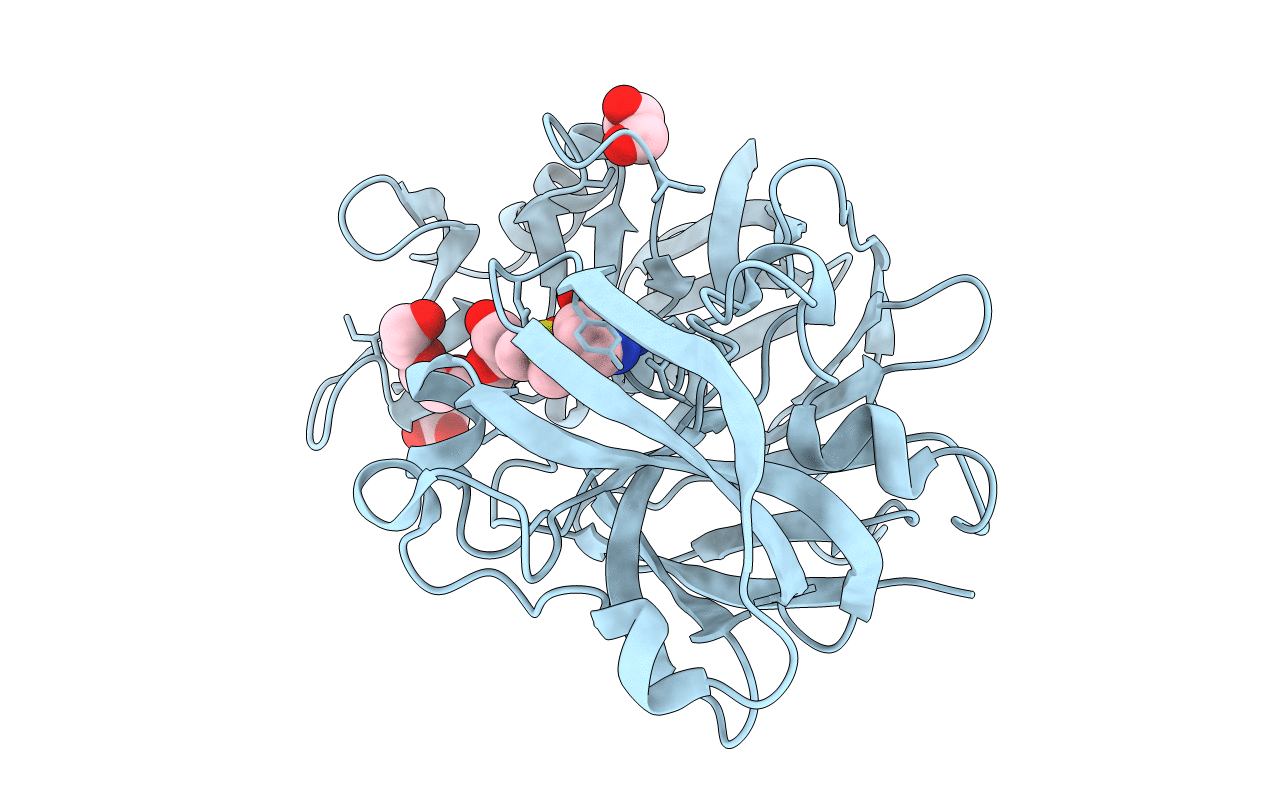 5RBO image