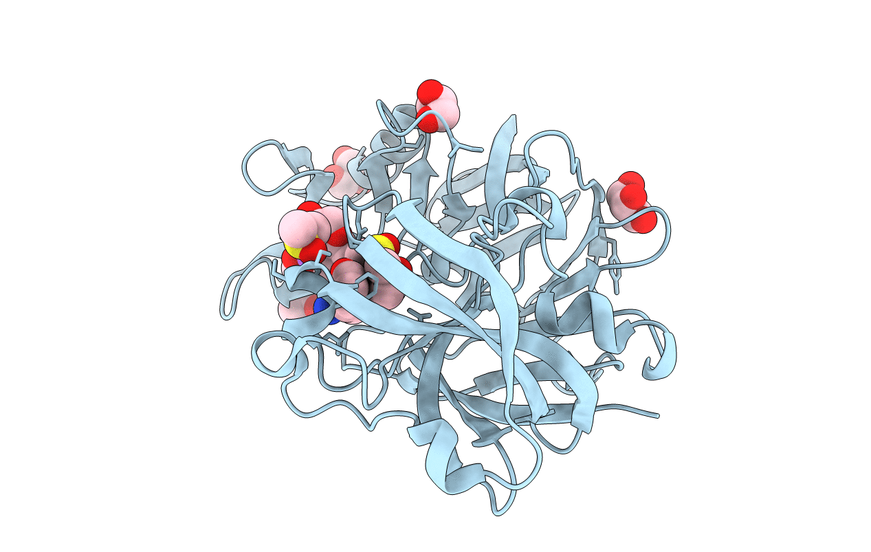 5RBP image
