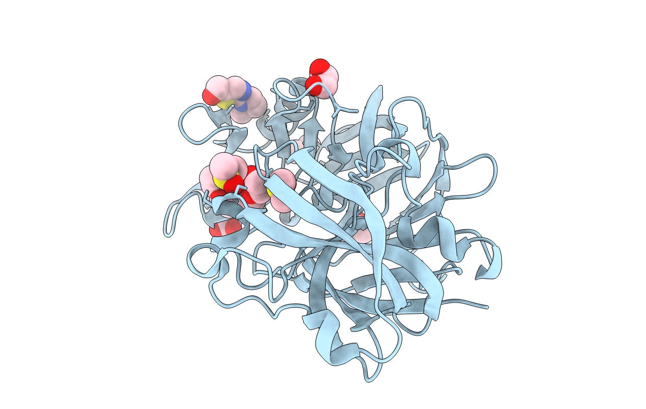5RBT image