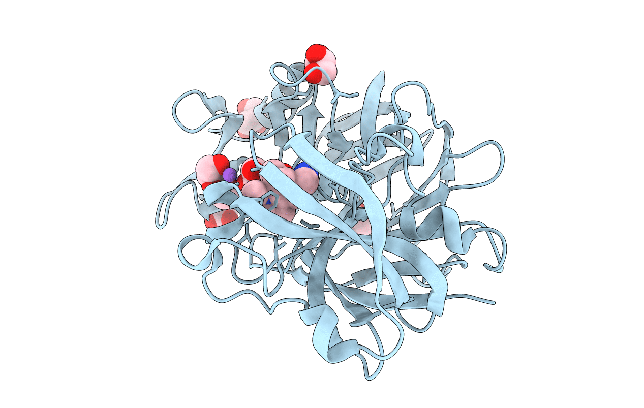 5RC1 image