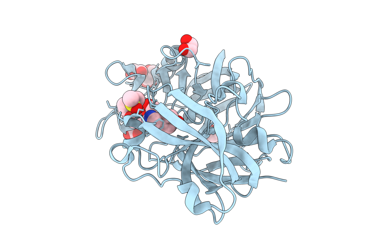 5RC6 image