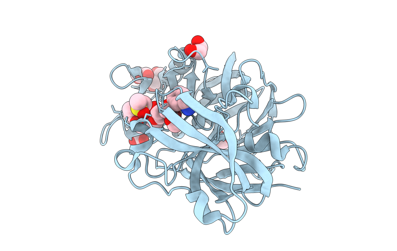 5RC8 image