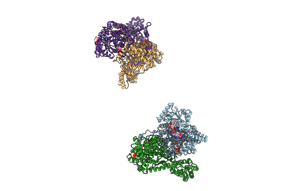 5REQ image