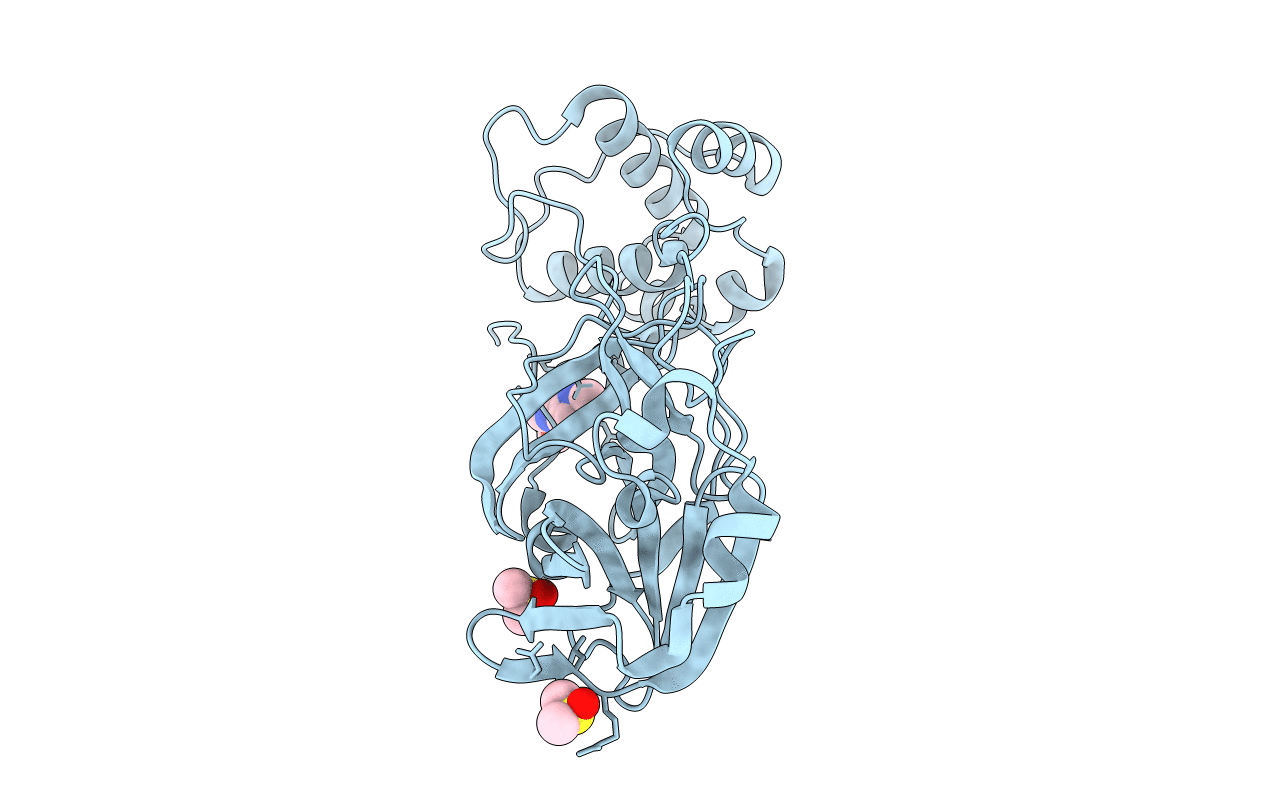 5RFA image