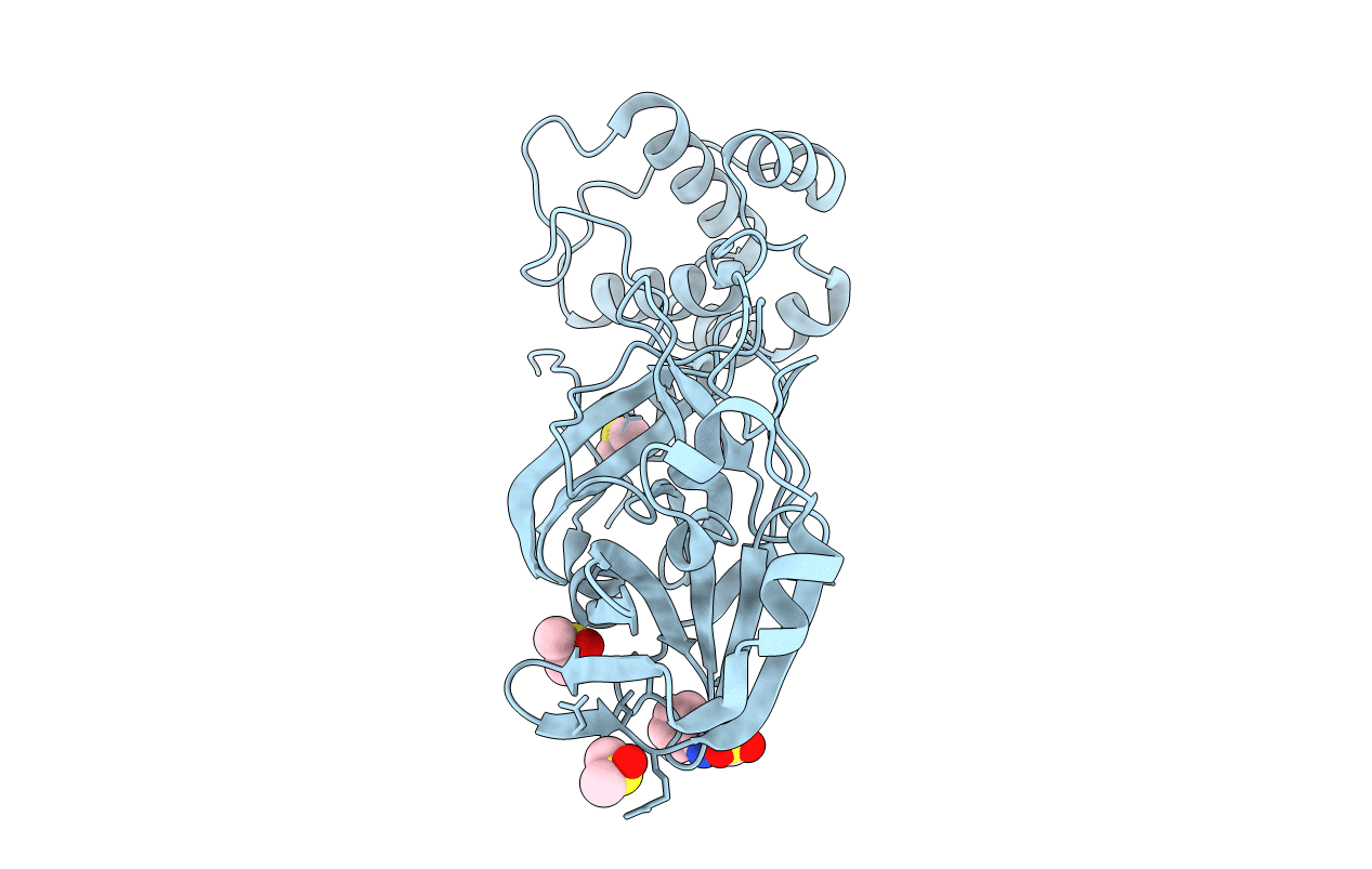 5RFD image