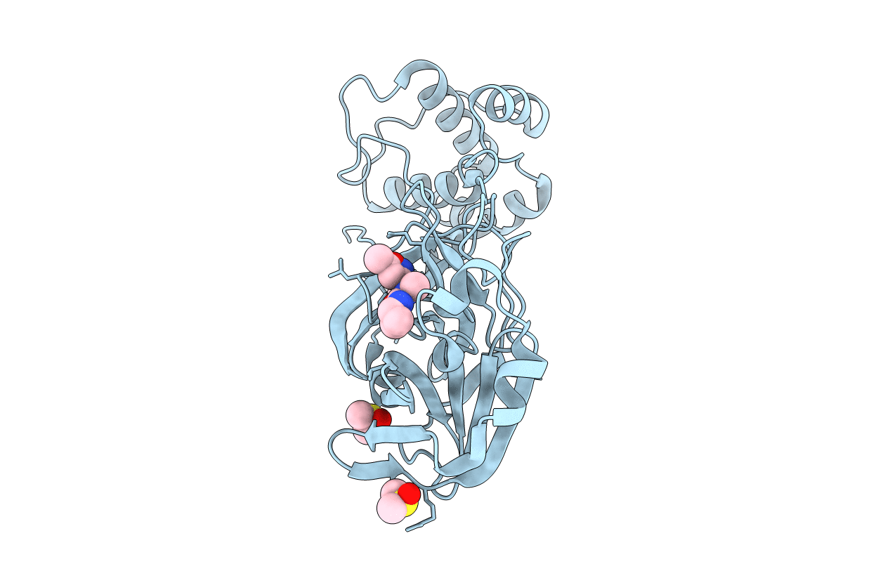 5RGI image