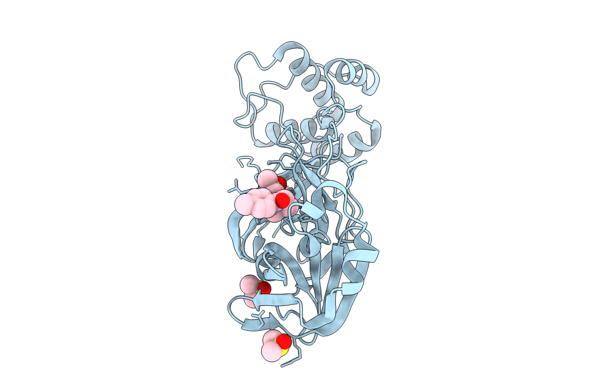 5RGL image