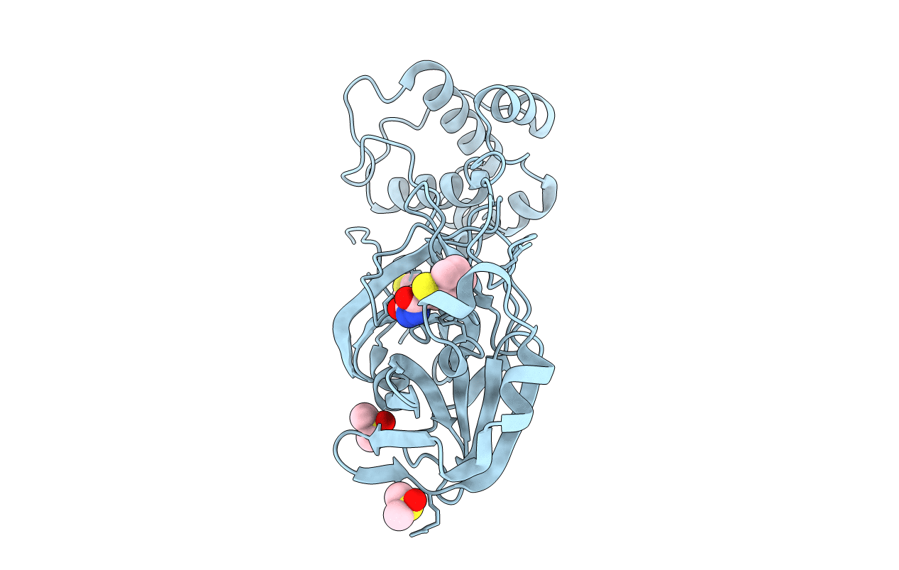 5RGM image