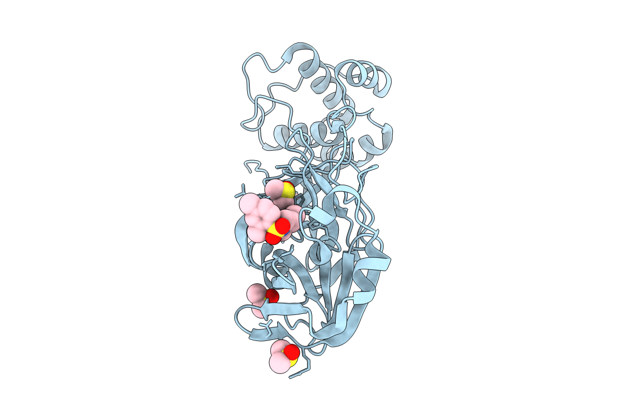 5RGP image