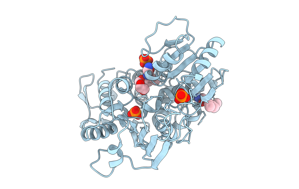 5RHG image