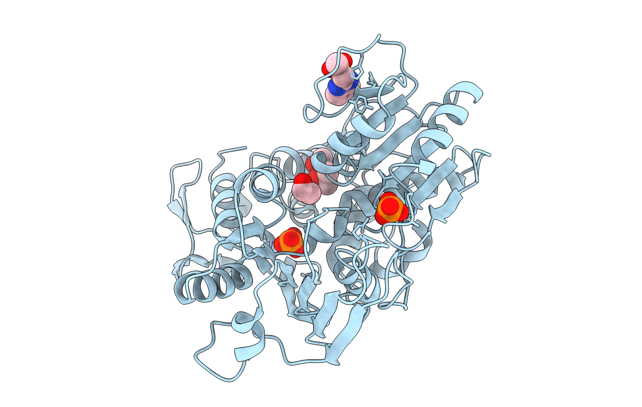 5RHJ image