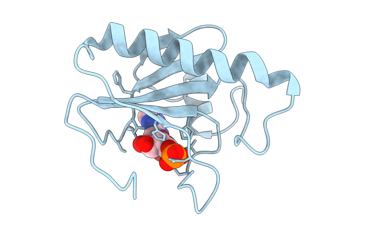 5RHN image