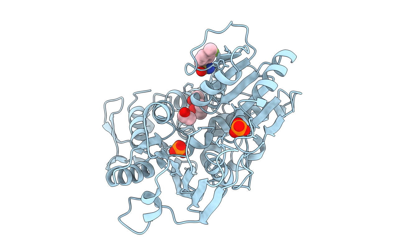 5RHU image