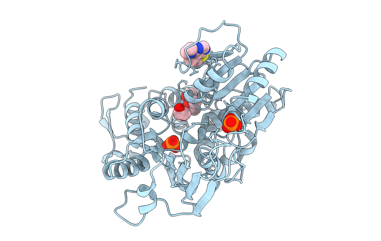 5RHW image