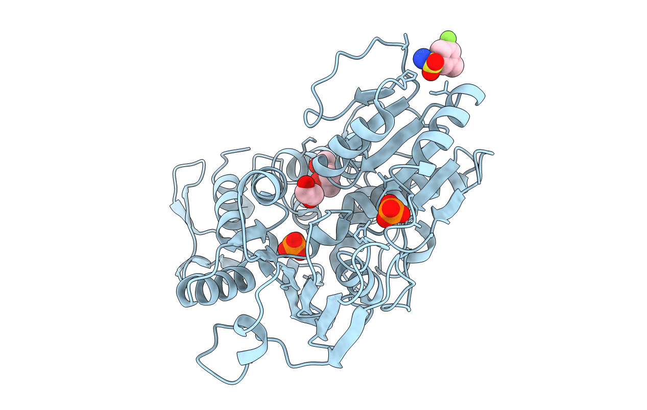 5RHX image