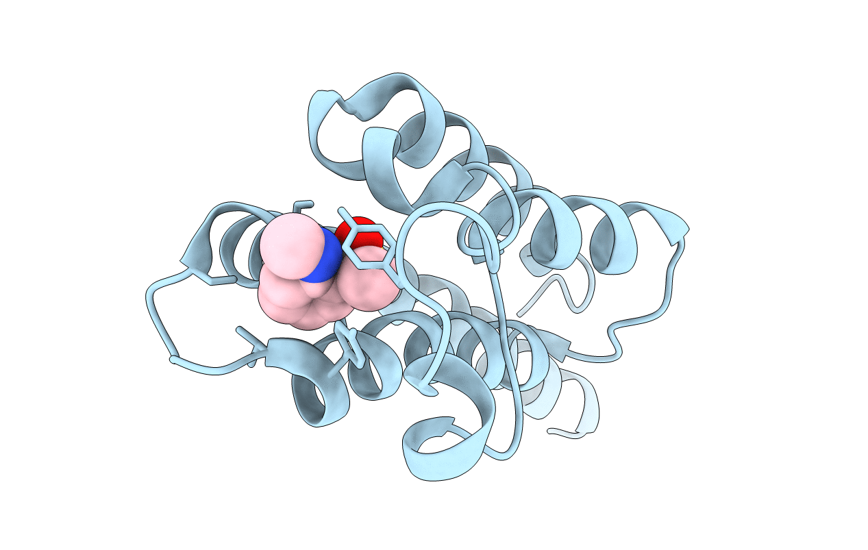 5RJX image