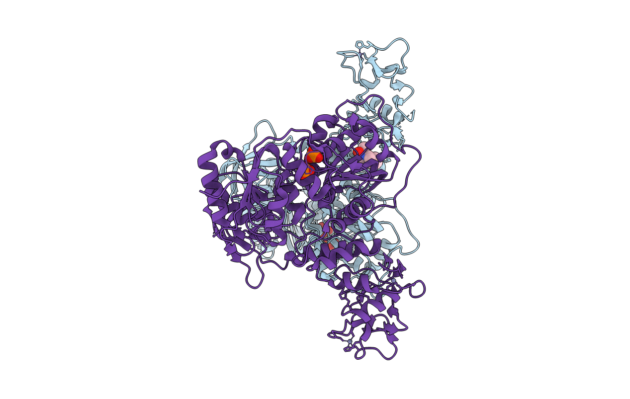 5RLB image