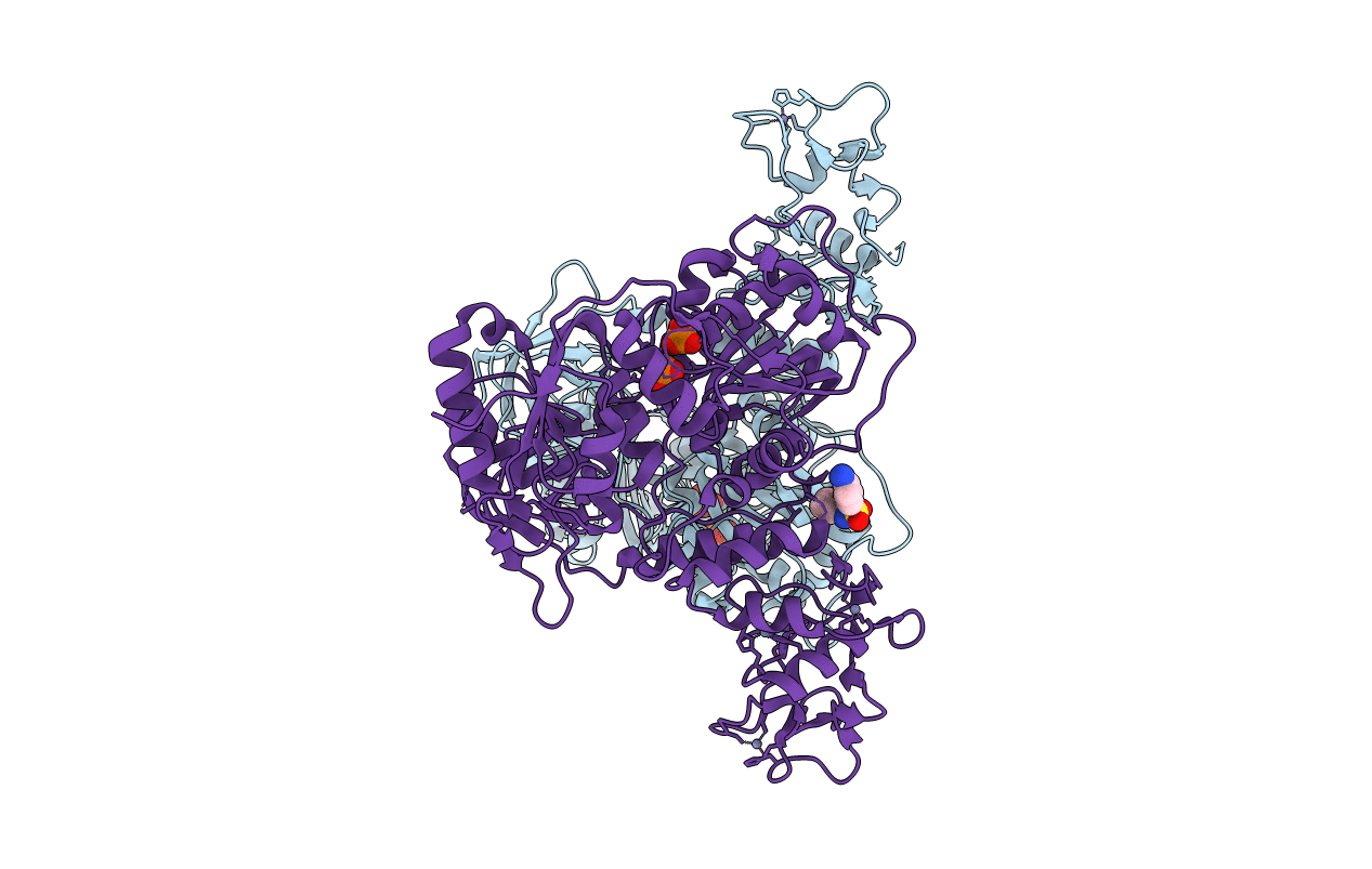5RLC image