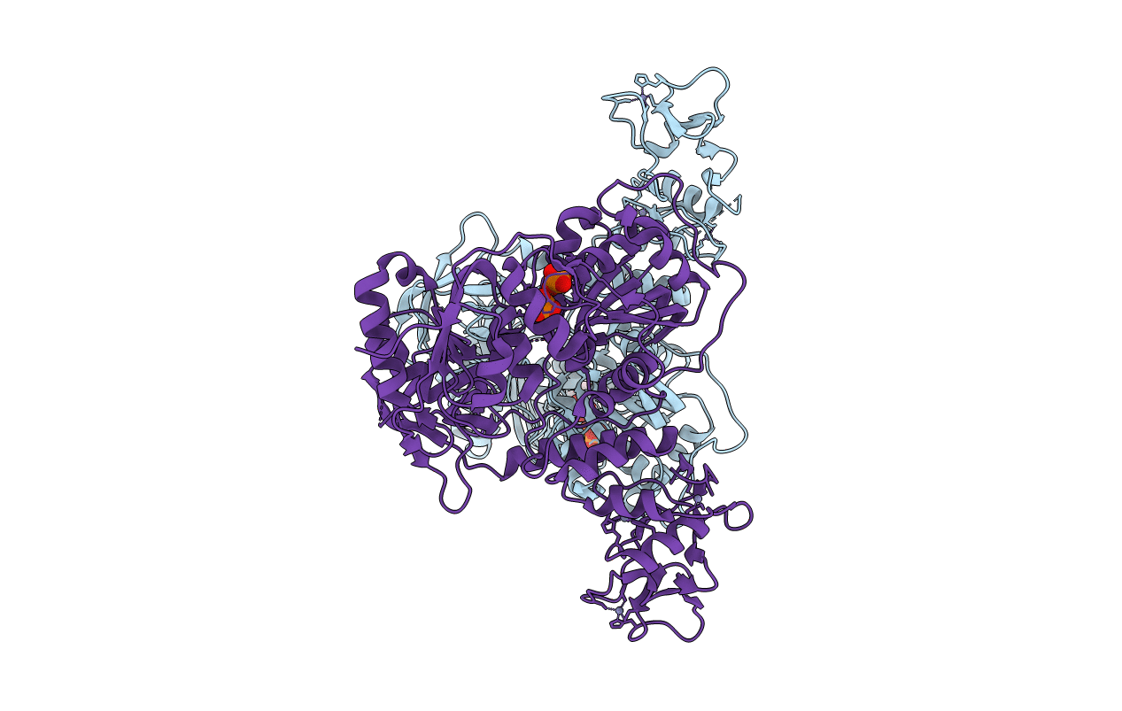 5RLF image