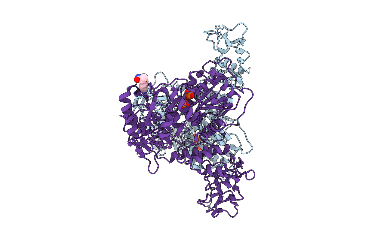 5RLG image