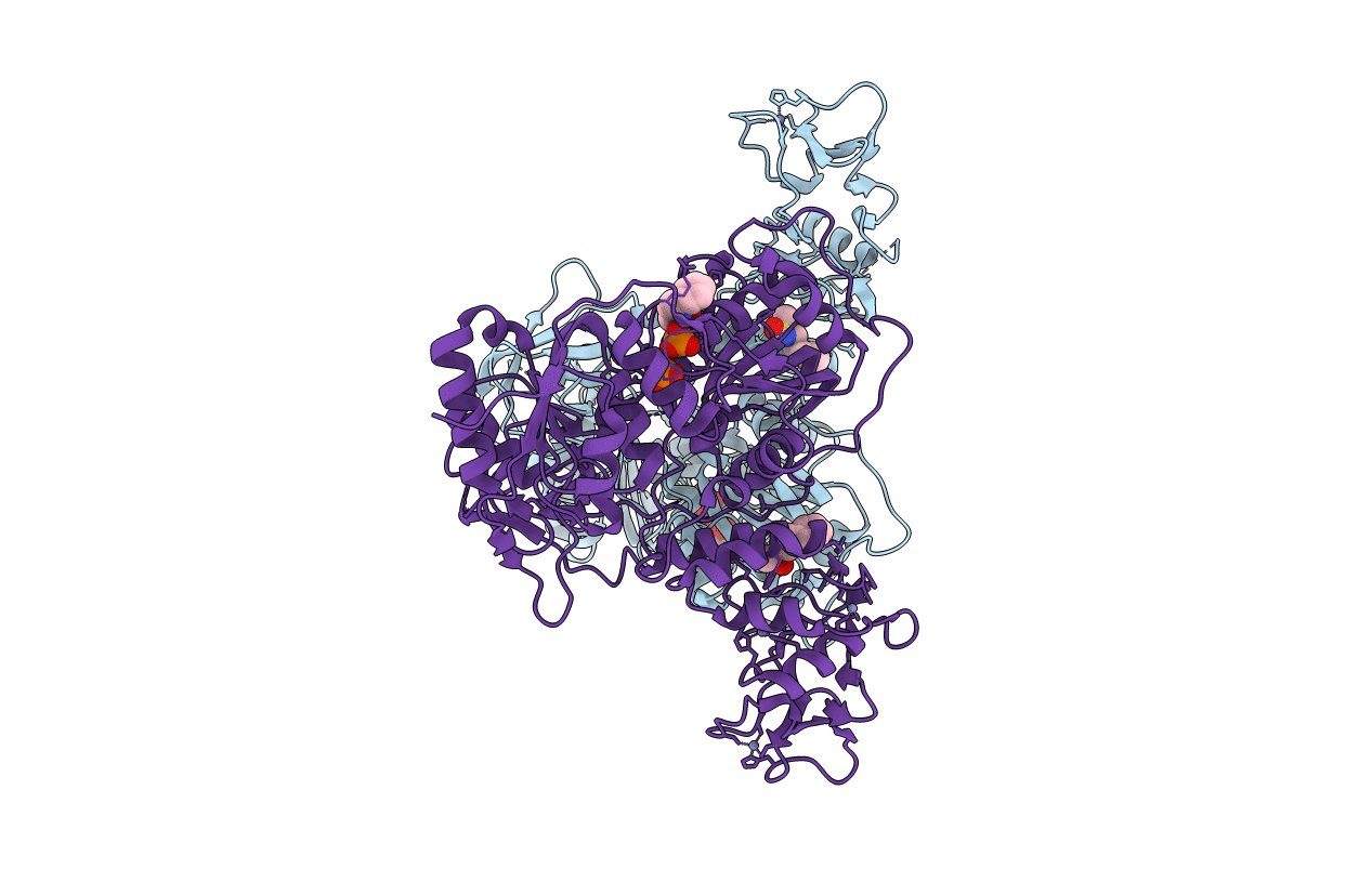 5RLI image