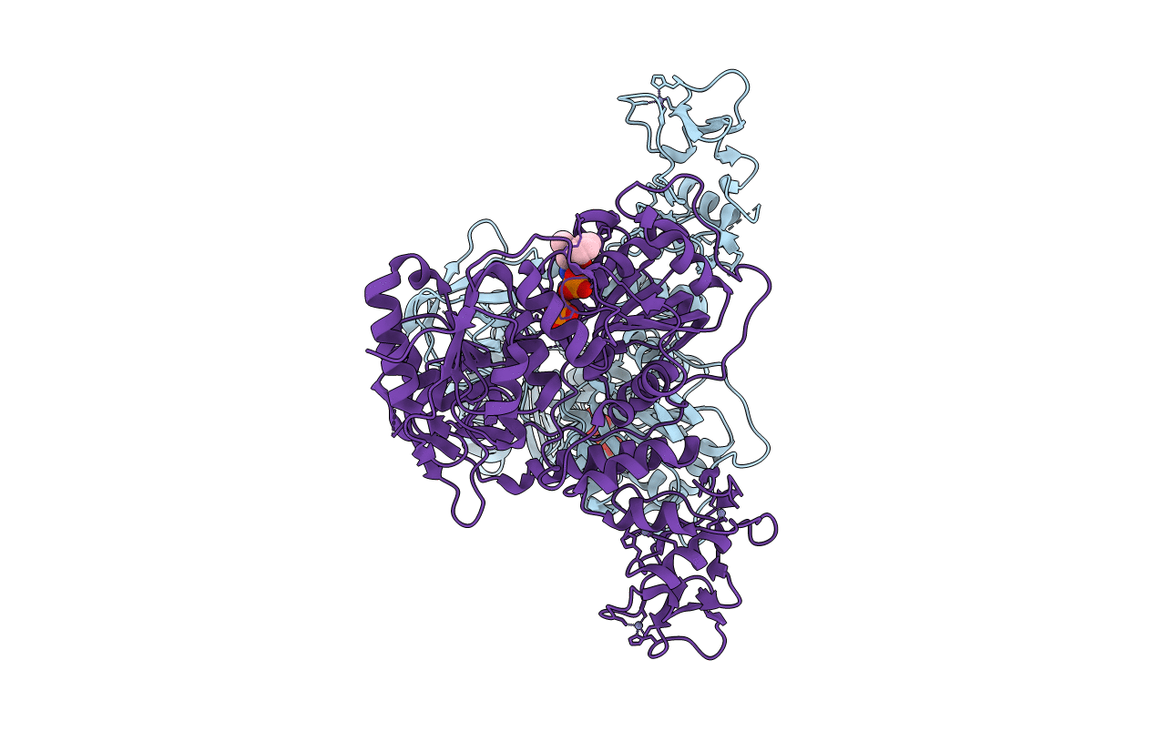 5RLJ image