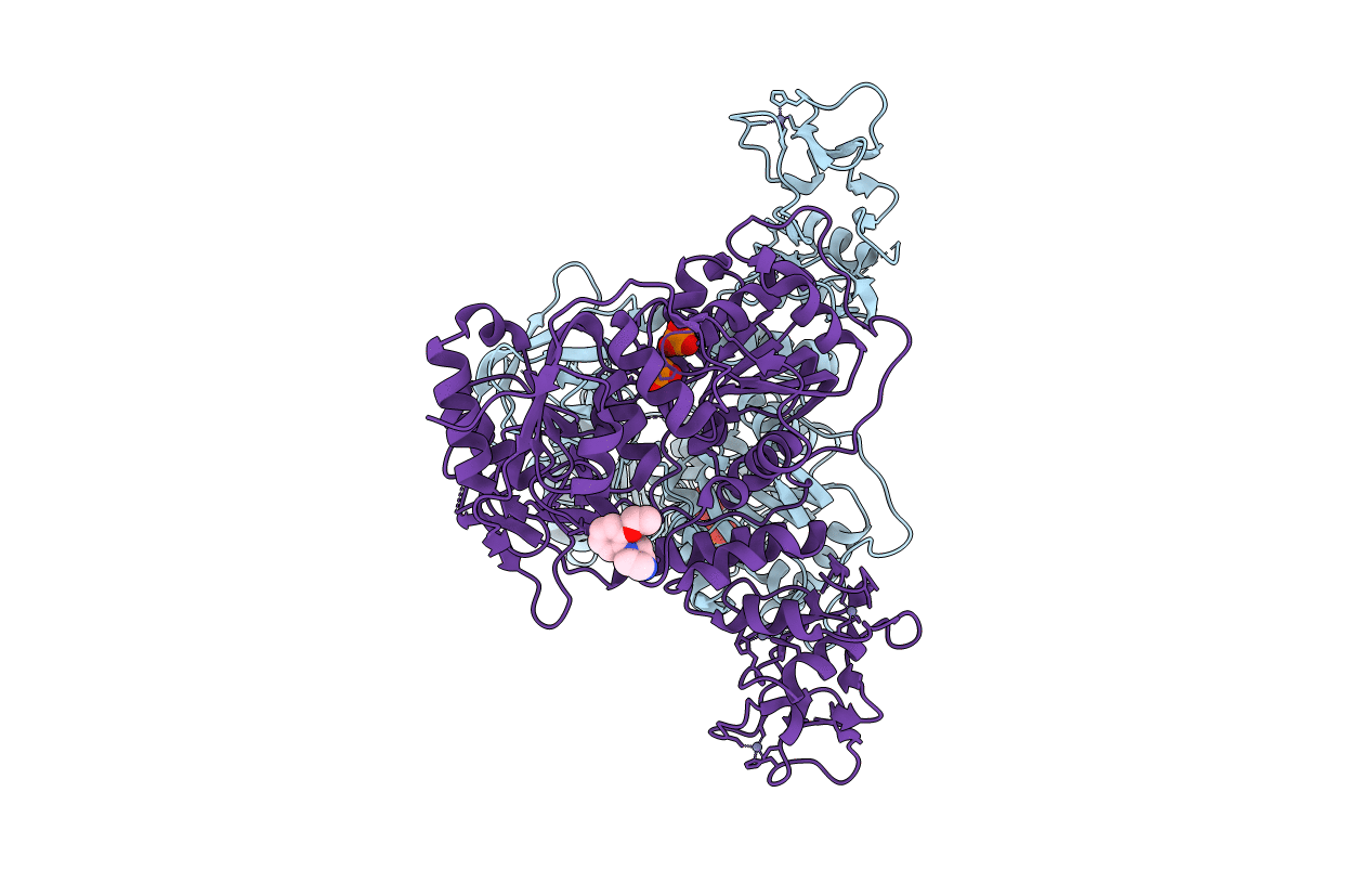 5RLL image