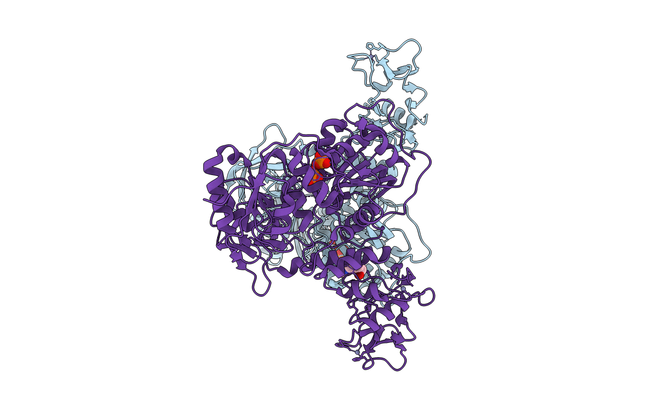 5RLM image