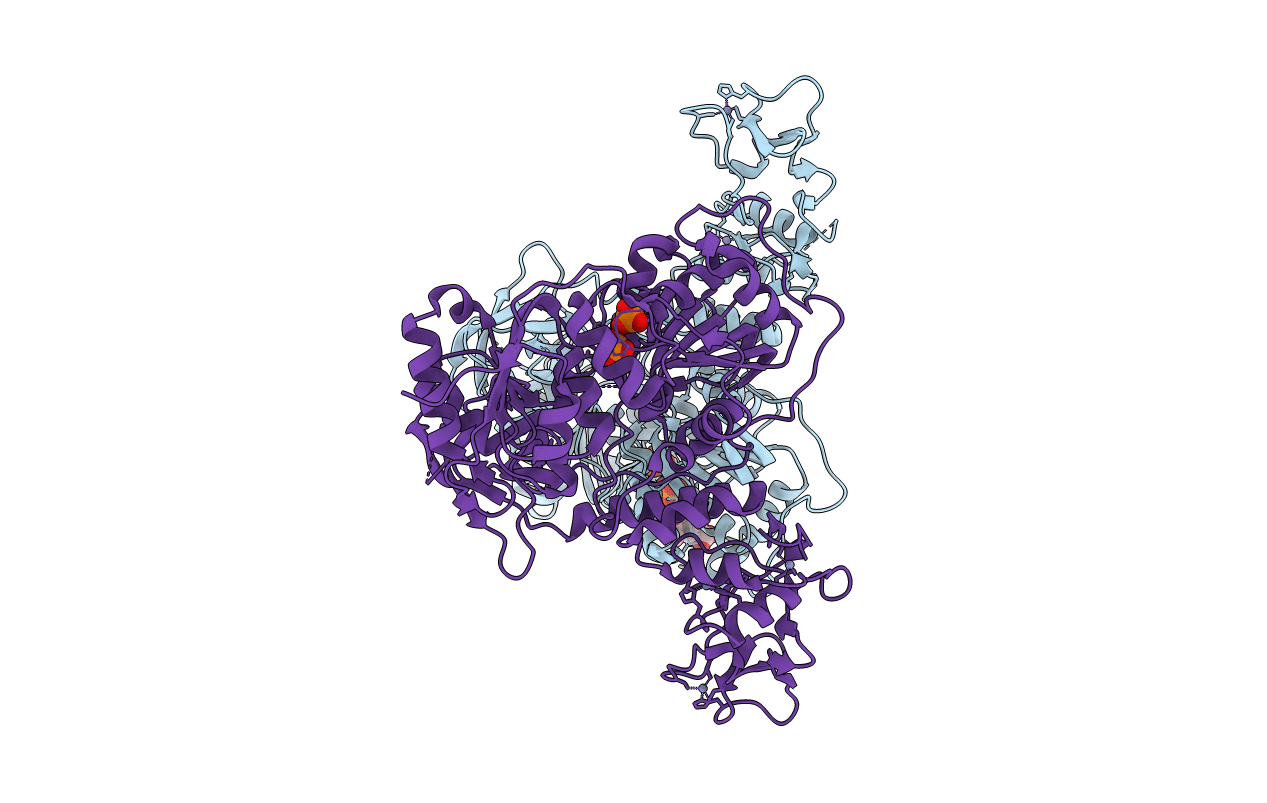 5RLN image