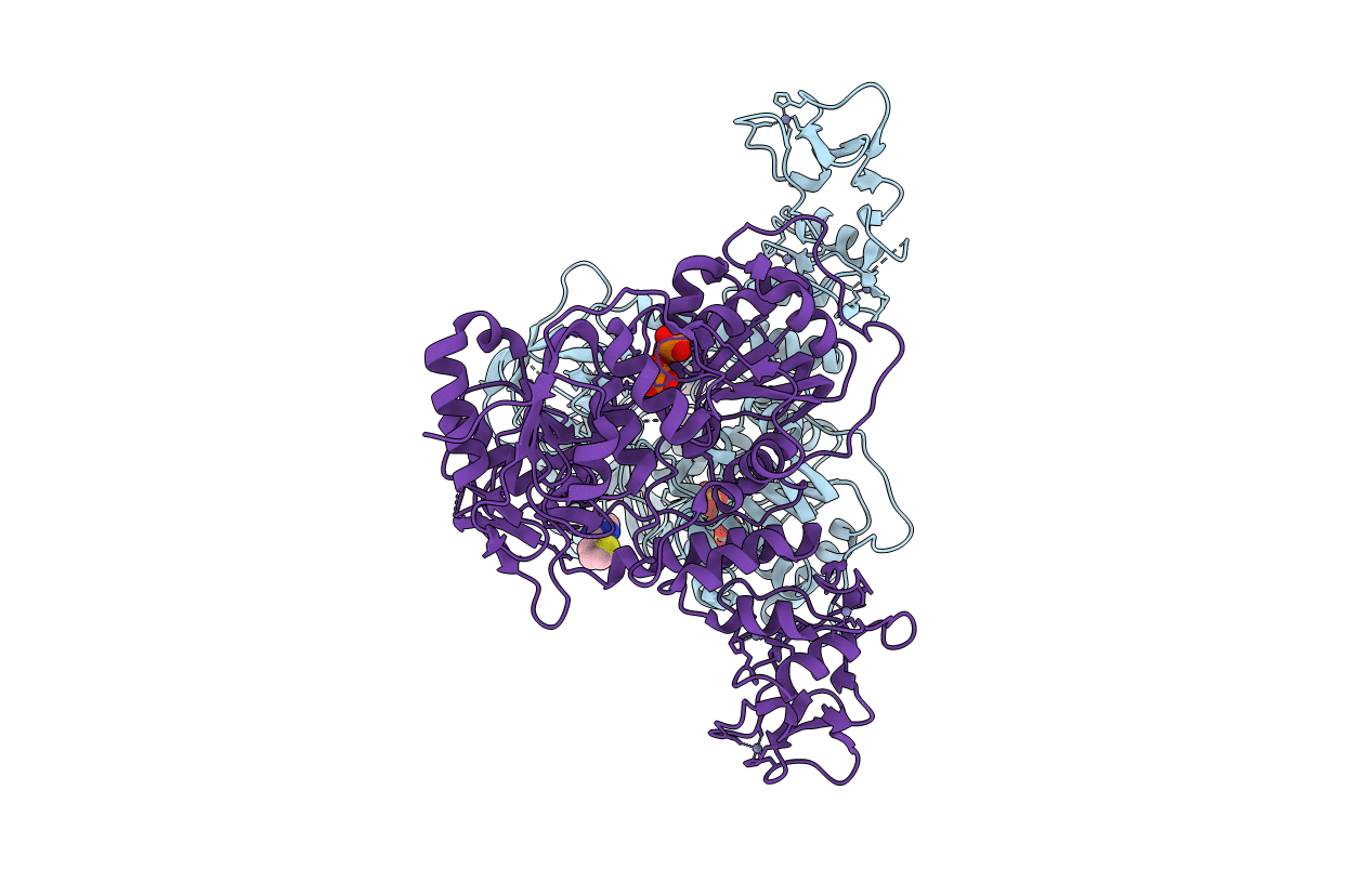 5RLU image